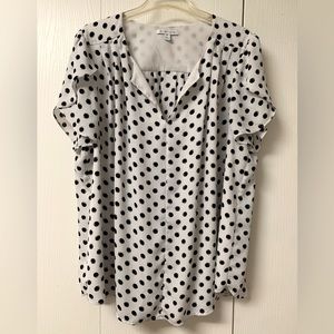 41 Hawthorn Blouse Short Sleeve v-neck White with Black Dots Size 3X